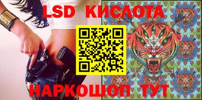 гидропоника Бердск