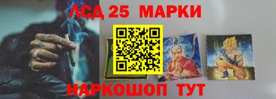 гидропоника Бердск