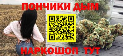 гидропоника Бердск