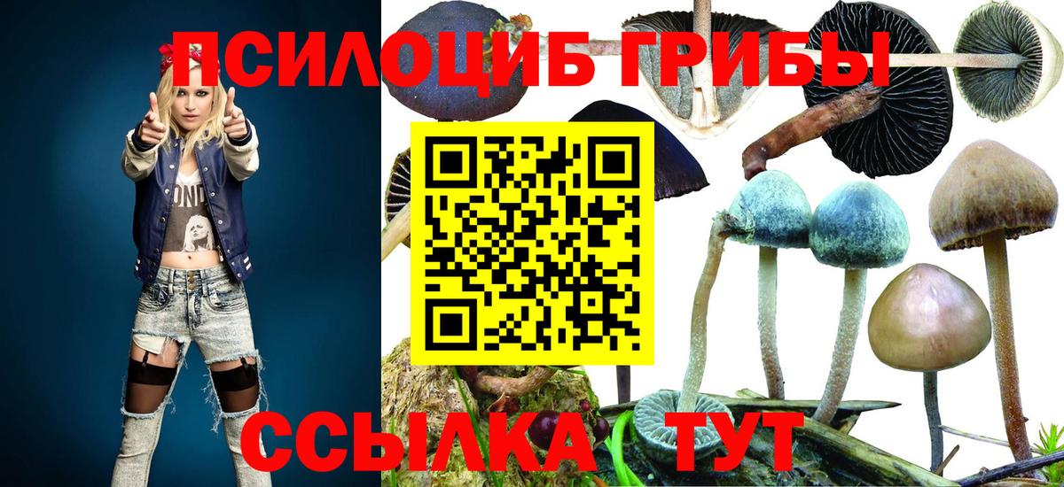 Ачхой-Мартан  Галлюциногенные грибы мухоморы  Вход с VPN 